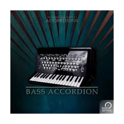 Coupon 💯 Best Service Accordions 2 Bass Accordion 🎁