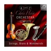 Brand new ⭐ Best Service Chris Hein Orchestra Complete 🛒