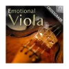 Brand new ⌛ Best Service Emotional Viola 😍