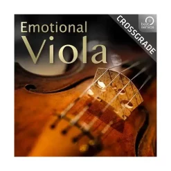 Brand new ⌛ Best Service Emotional Viola 😍