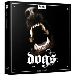 Top 10 😍 Boom Library 🦮 Dogs 🌟