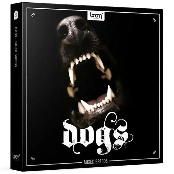 Top 10 ๐ Boom Library ๐ฆฎ Dogs ๐ 1 Top 10 ๐ Boom Library ๐ฆฎ Dogs ๐