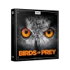 New 😀 Boom Library Birds Of Prey ✨
