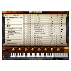 Outlet 👏 IK Multimedia Miroslav Philharmonik 2 CE - Electronic Delivery 🎁