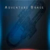 Coupon 😍 MusicalSampling Adventure Brass ✔️