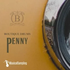 Coupon ⌛ MusicalSampling Vibe Drums Bundle 😉