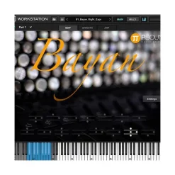 Buy 🛒 Psound Bayan Virtual Instrument 👍