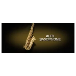 Best reviews of ✨ Vienna Symphonic Alto Saxophone Full - Electronic Delivery ⭐