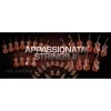 Budget 😀 Vienna Symphonic Appassionata Strings II Full - Electronic Delivery 🌟