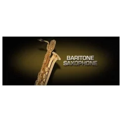 Coupon 😍 Vienna Symphonic Baritone Saxophone UPG To Full- Electronic Delivery 🌟