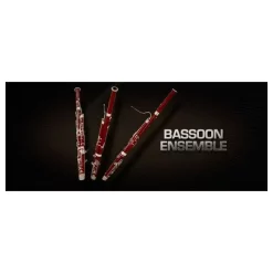 Promo 🌟 Vienna Symphonic Bassoon Ensemble UPG To Full- Electronic Delivery ✨