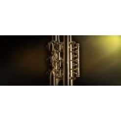 Cheap 👍 Vienna Symphonic Brass Bundle Full - Electronic Delivery 🔔