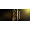 Best deal 🎁 Vienna Symphonic Brass Bundle Upgrade - Electronic Delivery 💯
