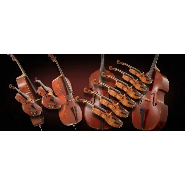 Buy ๐ Vienna Symphonic Chamber Strings Bundle Upgrade - Electronic Delivery โค๏ธ 1 Buy ๐ Vienna Symphonic Chamber Strings Bundle Upgrade - Electronic Delivery โค๏ธ