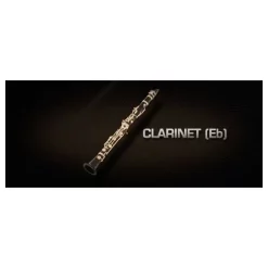 Brand new 🤩 Vienna Symphonic Clarinet - Eb - Full - Electronic Delivery 😀