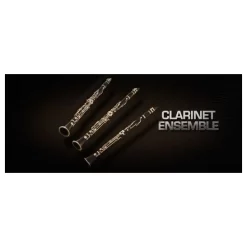 Best reviews of 🧨 Vienna Symphonic Clarinet Ensemble - 3 - Full - Electronic Delivery 🎉