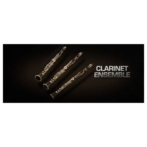 Best reviews of ๐งจ Vienna Symphonic Clarinet Ensemble - 3 - Full - Electronic Delivery ๐ 1 Best reviews of ๐งจ Vienna Symphonic Clarinet Ensemble - 3 - Full - Electronic Delivery ๐