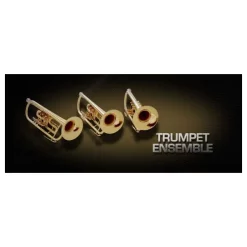 Best Pirce 😍 Vienna Symphonic Trumpet Ensemble UPG To Full- Electronic Delivery ❤️