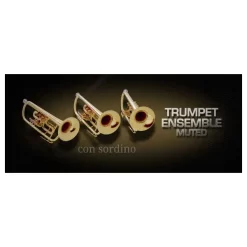 Best reviews of 😉 Vienna Symphonic Trumpet Ensemble Muted Full - Electronic Delivery ✨