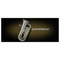 Coupon ⭐ Vienna Symphonic Euphonium UPG To Full- Electronic Delivery 😍