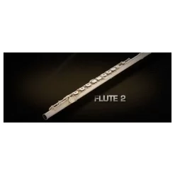 Discount 🎉 Vienna Symphonic Flute 2 UPG To Full- Electronic Delivery 😉