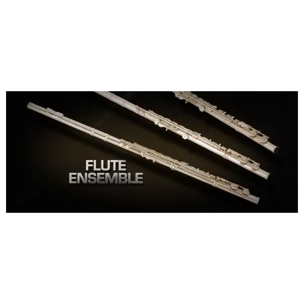 Cheapest ๐คฉ Vienna Symphonic Flute Ensemble Full- Electronic Delivery ๐ 1 Cheapest ๐คฉ Vienna Symphonic Flute Ensemble Full- Electronic Delivery ๐