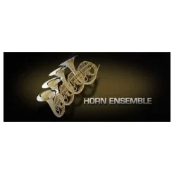 Hot Sale ✨ Vienna Symphonic Horn Ensemble Full - Electronic Delivery 😉