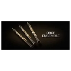 Budget ✨ Vienna Symphonic Oboe Ensemble UPG To Full- Electronic Delivery ⭐