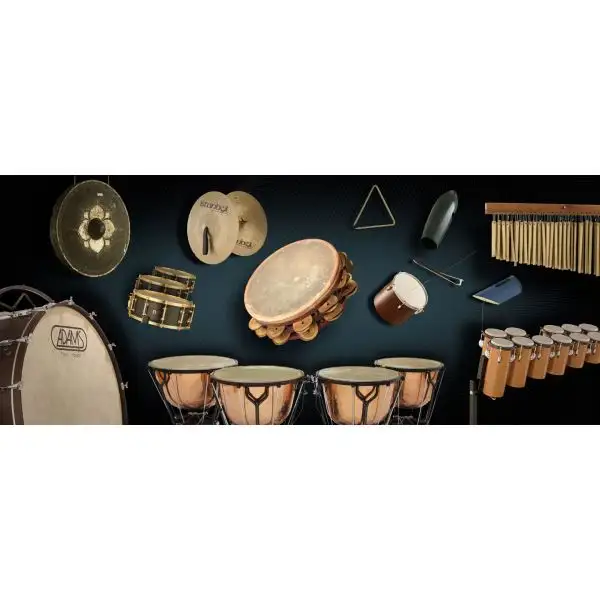 Brand new β Vienna Symphonic Percussion Upgrade To Full - Electronic Delivery π― 1 Brand new β Vienna Symphonic Percussion Upgrade To Full - Electronic Delivery π―
