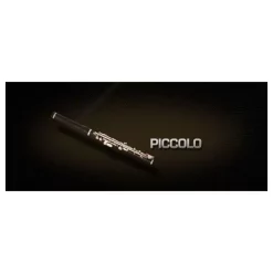 Top 10 ✨ Vienna Symphonic Piccolo UPG To Full- Electronic Delivery ✔️