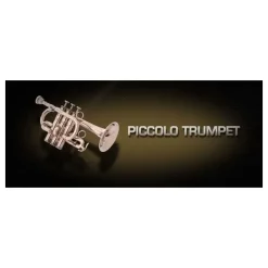 Cheapest 😍 Vienna Symphonic Piccolo Trumpet Full - Electronic Delivery ❤️