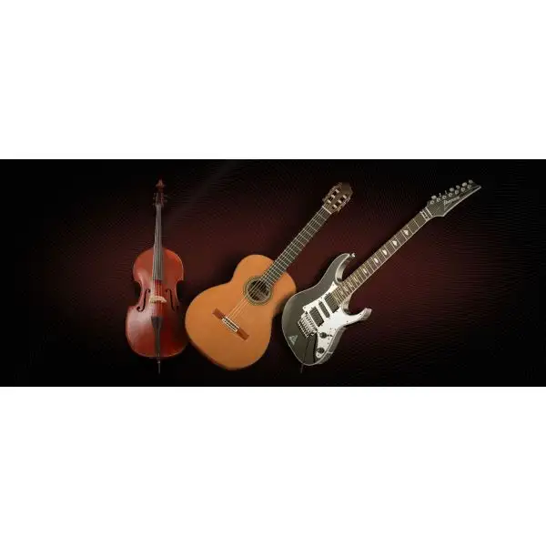 Budget π Vienna Symphonic Plucked Instruments Bundle Upgrade - Electronic Delivery π 1 Budget π Vienna Symphonic Plucked Instruments Bundle Upgrade - Electronic Delivery π