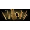 Buy ⌛ Vienna Symphonic Saxophones Full - Electronic Delivery ⭐
