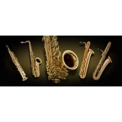 Buy ⌛ Vienna Symphonic Saxophones Full - Electronic Delivery ⭐