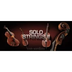 Best reviews of 😀 Vienna Symphonic Solo Strings II Full - Electronic Delivery 🛒