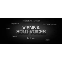 Budget 😍 Vienna Symphonic Vienna Solo Voices Upgrade - Electronic Delivery ⭐