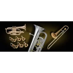 Best Pirce 🎁 Vienna Symphonic Special Brass Upgrade To Full - Electronic Delivery 😉