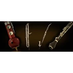 Best reviews of 💯 Vienna Symphonic Special Woodwinds Upgrade - Electronic Delivery 🥰