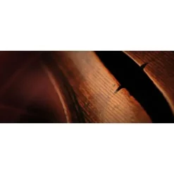 Best Pirce 👏 Vienna Symphonic Vienna Strings Complete Full - Electronic Delivery 🧨