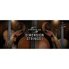 Buy 🛒 Vienna SYNCHRON-ized Dimension Strings I - Electronic Delivery 🎁
