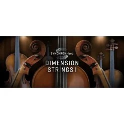 Buy 🛒 Vienna SYNCHRON-ized Dimension Strings I - Electronic Delivery 🎁