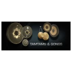 Best deal 🎁 Vienna Symphonic Tamtams & Gongs Full - Electronic Delivery 🥰
