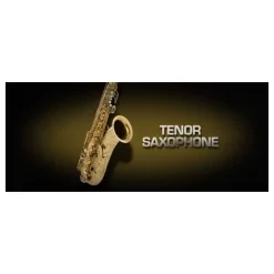 Discount ✨ Vienna Symphonic Tenor Saxophone UPG To Full- Electronic Delivery 🔥