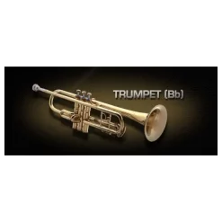 Best reviews of 🎉 Vienna Symphonic Trumpet - Bb - Standard- Electronic Delivery 🥰