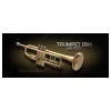 New 🌟 Vienna Symphonic Trumpet - Bb - Muted Standard- Electronic Delivery ⭐
