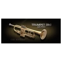 New 🌟 Vienna Symphonic Trumpet - Bb - Muted Standard- Electronic Delivery ⭐