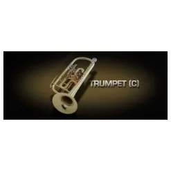Best deal 🎉 Vienna Symphonic Trumpet - C - UPG To Full- Electronic Delivery ✨