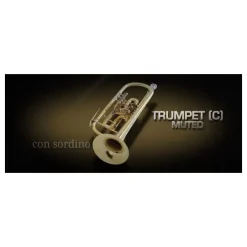 Best Pirce ❤️ Vienna Symphonic Trumpet - C - Muted UPG To Full- Electronic Delivery ✔️