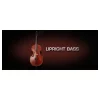 Flash Sale 🧨 Vienna Symphonic Upright Bass Standard- Electronic Delivery ⭐