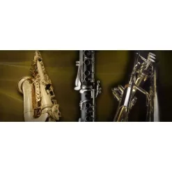 Best Pirce 🎉 Vienna Symphonic Winds Complete Full - Electronic Delivery ⌛